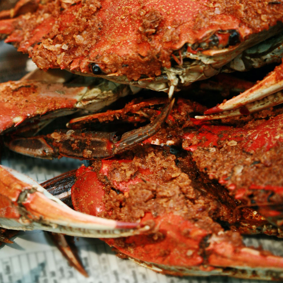 Dungeness Crab